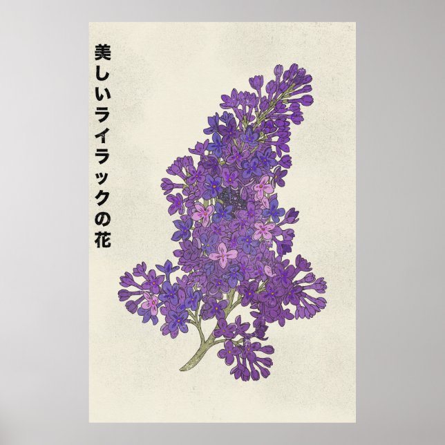 The Beautiful Lilac Flower Poster (Front)