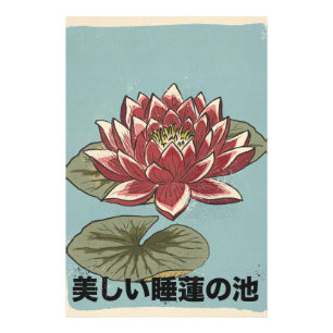 The Beautiful Lily Pond Photo Print