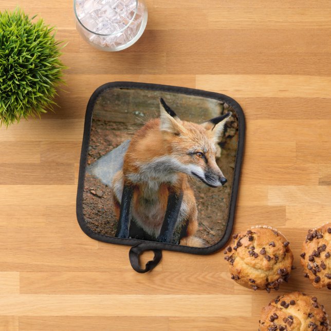 The Beautiful Red Fox Pot Holder (Top Down)