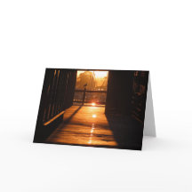 The Beautiful Sunlit Pathway at Monterey Wharf