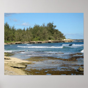 The Beautiful Turtle Bay in Oahu Hawaii Poster