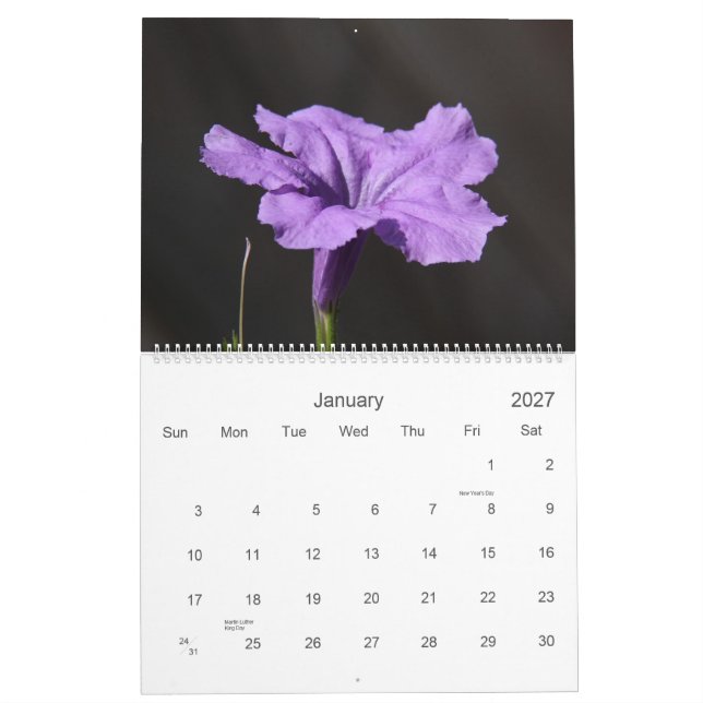 The Beauty of a Garden, 2014 Flower Calendar (Jan 2027)