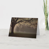 The Beauty of Ambiguity Card