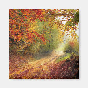 The Beauty of Autumn Magnet