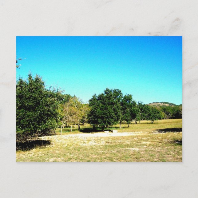 The Beauty Of Bandera Texas Postcard (Front)