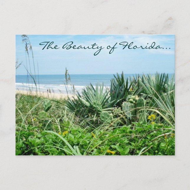 The Beauty of Florida Postcard / Beach Postcard (Front)