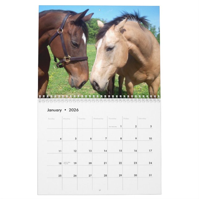 The Beauty of Horses 2011 Flip Calendar (Jan 2026)