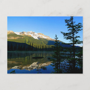 The Beauty of Mother Nature Postcard