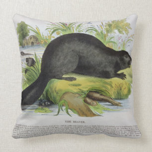 The Beaver, educational illustration pub. by the S Throw Pillow