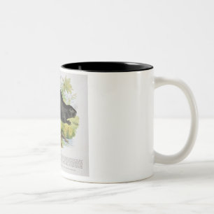 The Beaver, educational illustration pub. by the S Two-Tone Coffee Mug