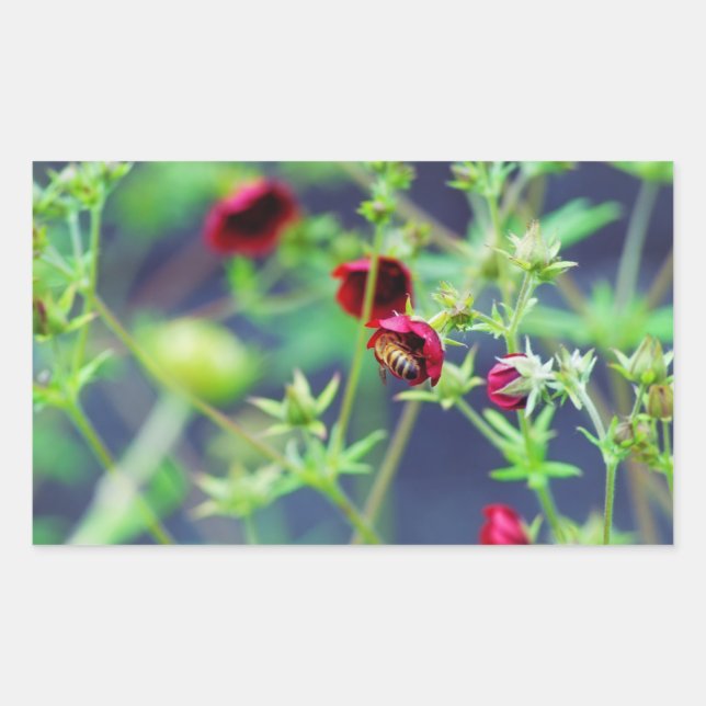 The Bee With the Red Flower Sticker (Front)