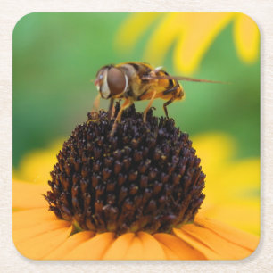 The Bees of Summer - Daisy Coaster