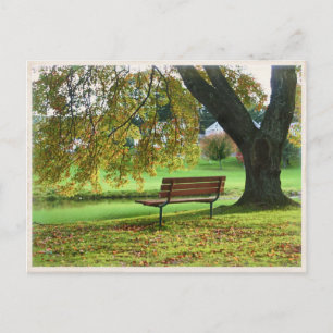 The Bench on Memorial Boulevard, Bristol CT Postcard