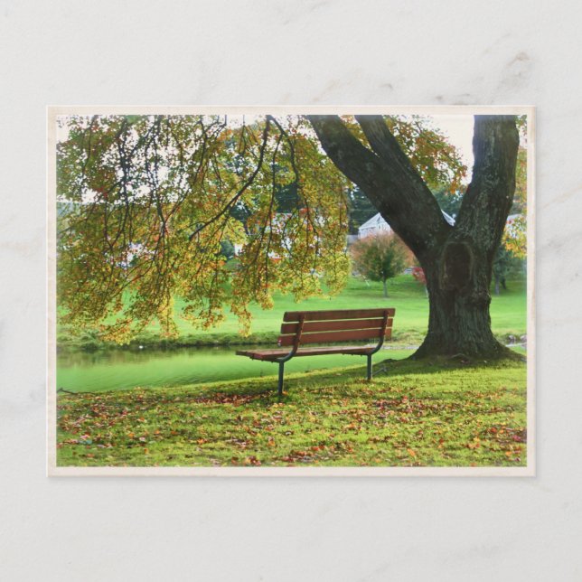 The Bench on Memorial Boulevard, Bristol CT Postcard (Front)