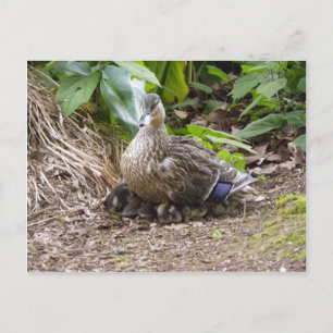 The Best Mother in the World Postcard