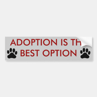 "The Best Option" Bumper Sticker