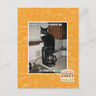 the best part uv wakin up postcard