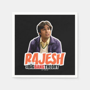 The Big Bang Theory   Rajesh Napkin