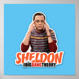 The Big Bang Theory   Sheldon Poster