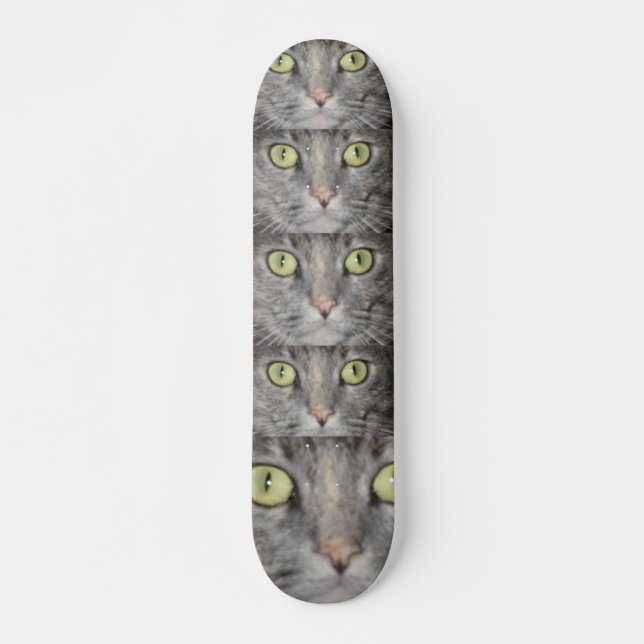 THE BIG BOARD SKATEBOARD (Front)