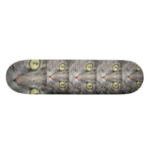 THE BIG BOARD SKATEBOARD