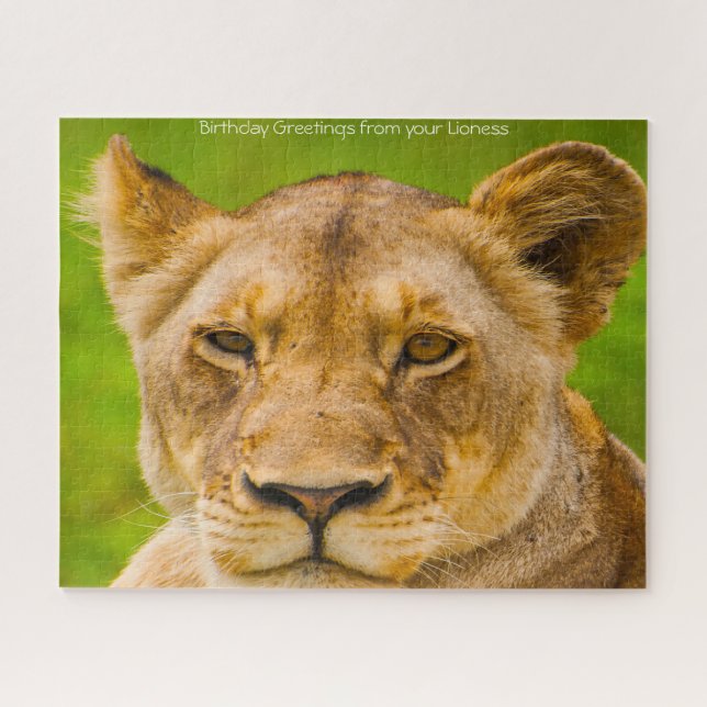 The Big Cats Lions. Jigsaw Puzzle (Horizontal)