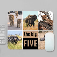 The Big Five Wild Animals African Safari Photo