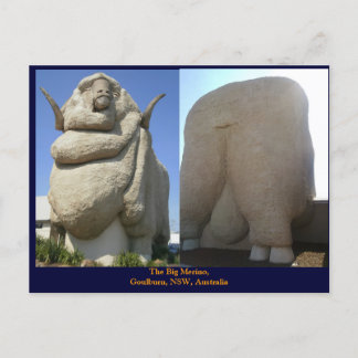 The Big Merino Postcard