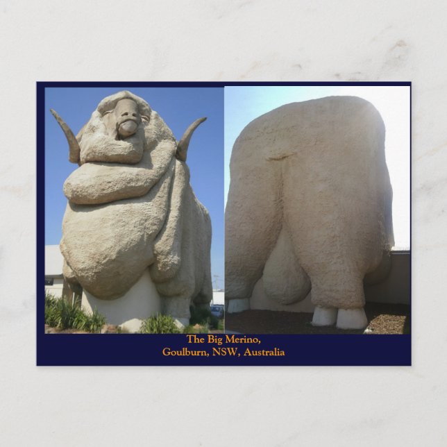 The Big Merino Postcard (Front)