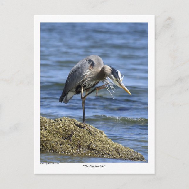 "The Big Scratch" Post Cards (Front)