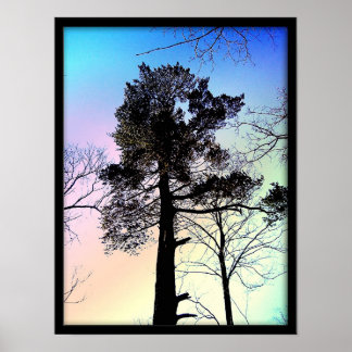 The Biggest Tree Poster