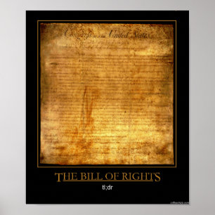 The Bill of Rights Poster