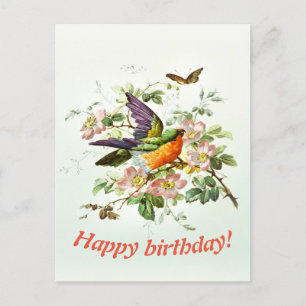 The bird and the butterfly, Birthday Postcard