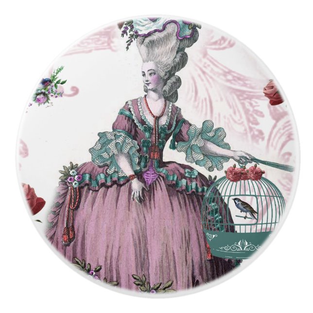 The Bird Cage Marie Antionette French inspired  Ceramic Knob (Front)