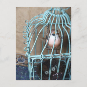 The Bird Holds the Key Postcard