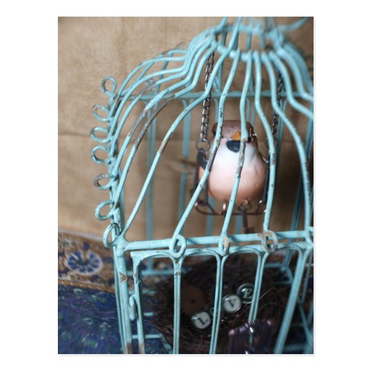 The Bird Holds the Key Postcard