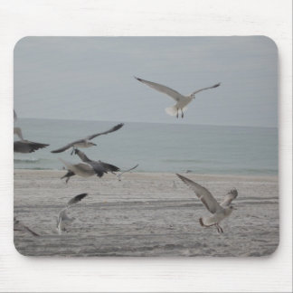 The Birds Mouse Pad