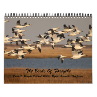 The Birds of Forsythe Calendar