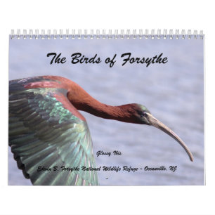 The Birds of Forsythe II Calendar