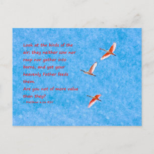 The Birds of the Air- Matthew 6:26 Postcard