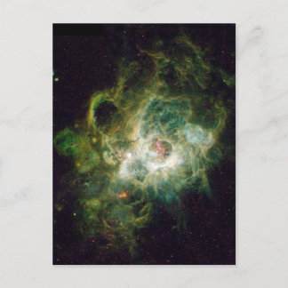 The Birth Of A Star Postcard