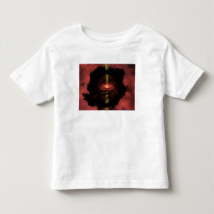 The birth of a star toddler t-shirt
