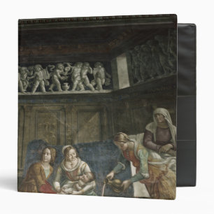 The Birth of the Virgin, 1485-90 Binder