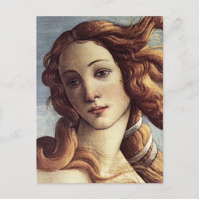 The Birth of Venus (detail) Postcard (Front)