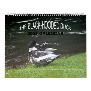 THE BLACK-HOODED DUCK 2025 CALENDAR