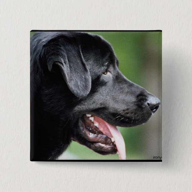 The Black Labrador 2 Inch Square Button (Front)