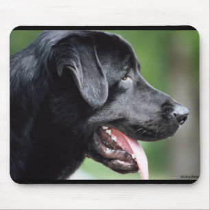 The Black Labrador Mouse Pad