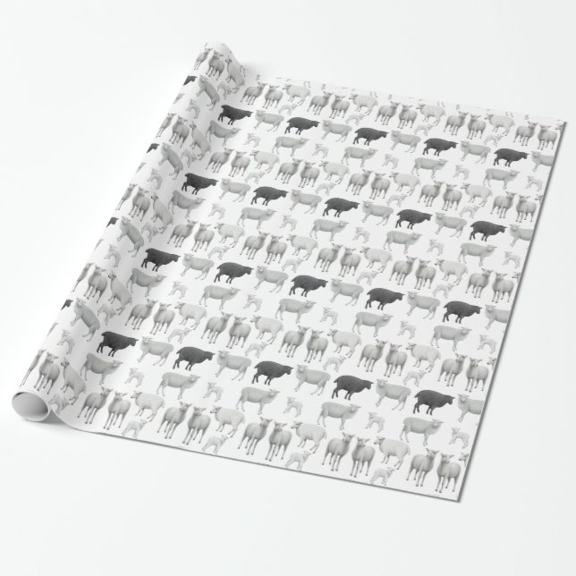 The Black Sheep  Dare to be Different Gift Wrap (Unrolled)