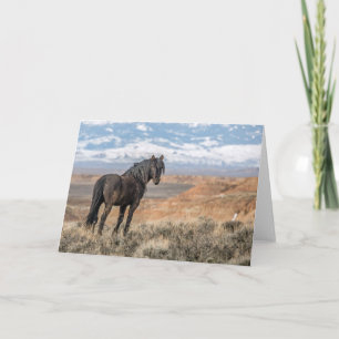 "The Black Stallion" Note Card