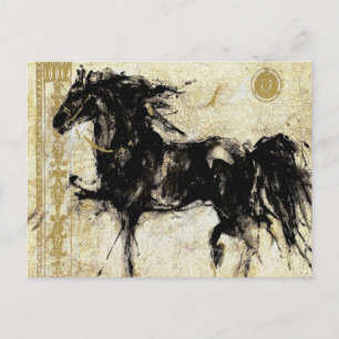 The Black Stallion ~ Postcard